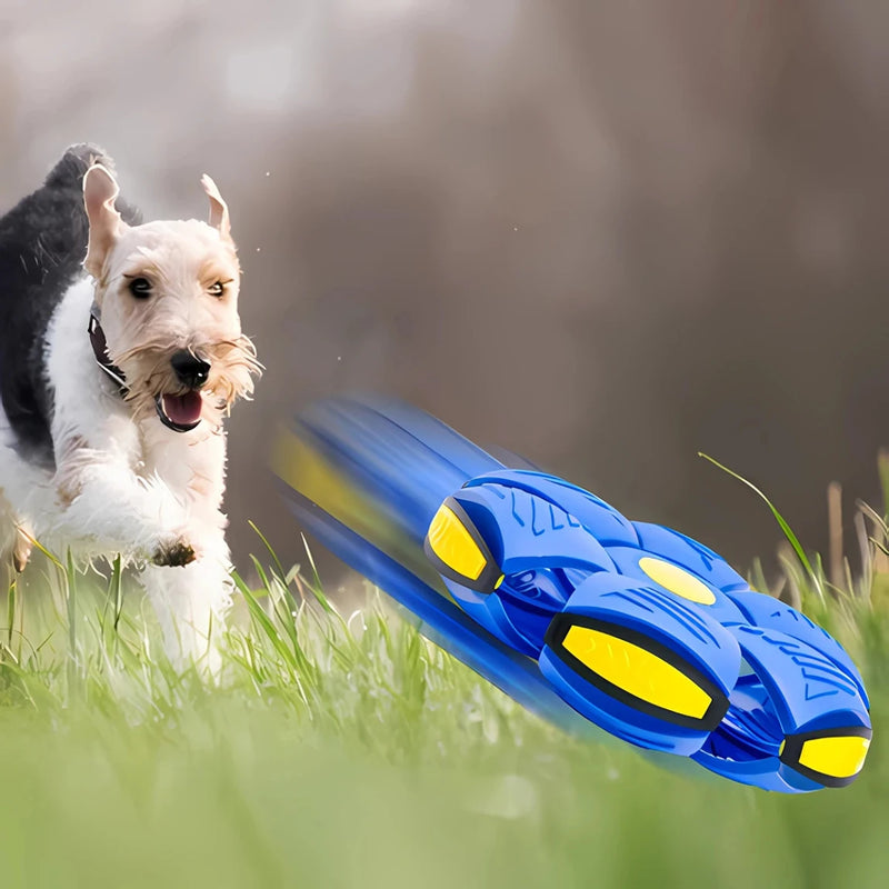 BOLA MÁGICA PARA CÃES